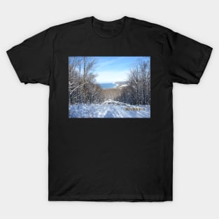 Empire Michigan Winter T-Shirt